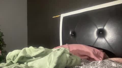 Snapshot of kinkykittee chatting on February 2025 03:08:02 AM Bunniii online show from February 2025 03:08:02 AM