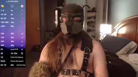 kinkywolf87 online show from December 2024 06:54:02 PM