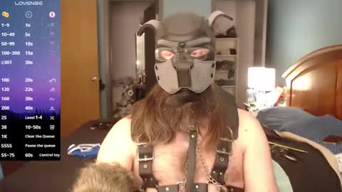 kinkywolf87 online show from March 2025 10:02:02 PM