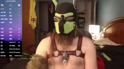 kinkywolf87 online show from April 2026 05:43:01 PM