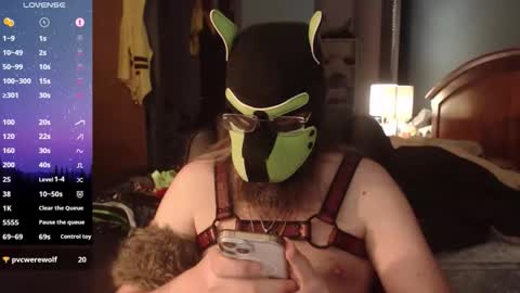 Snapshot of kinkywolf87 chatting on June 2026 11:49:02 PM kinkywolf87 online show from June 2026 11:49:02 PM