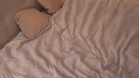 Snapshot of kiri_pvt chatting on November 2025 10:19:02 PM kiri_pvt online show from November 2025 10:19:02 PM