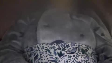 kissandtell1357 online show from October 2025 06:48:01 PM