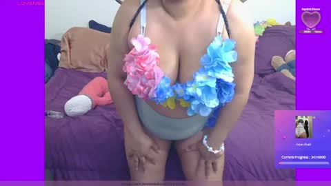 kitten online show from May 2026 12:49:01 AM