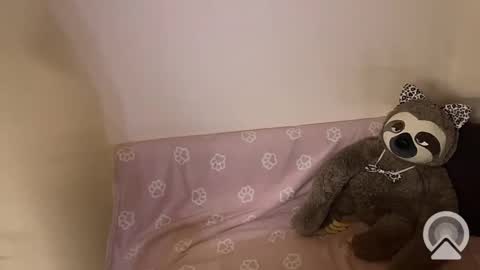 kitiket1 online show from February 2025 05:40:01 PM