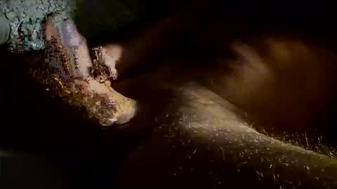 Kitkat loco online show from November 2025 07:40:01 AM