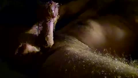 Kitkat loco online show from November 2025 01:14:02 PM