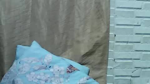 Snapshot of kittengirlxo504404 chatting on May 2026 11:21:02 PM kittengirlxo504404 online show from May 2026 11:21:02 PM