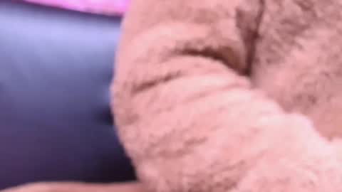 Kitty online show from October 2025 02:22:02 AM