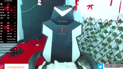 Snapshot of kitty_vaal chatting on February 2025 08:06:02 AM kitty_vaal online show from February 2025 08:06:02 AM