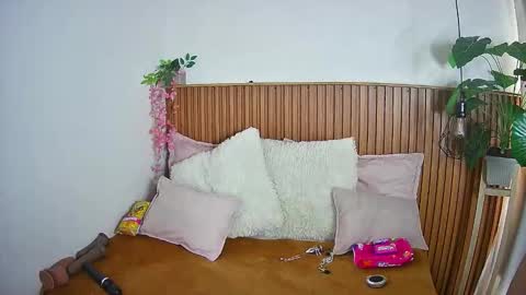 K I T T Y   online show from February 2026 08:14:02 PM