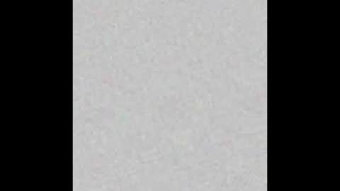 Snapshot of kittykait_k chatting on January 2025 12:19:02 PM kittykait_k online show from January 2025 12:19:02 PM