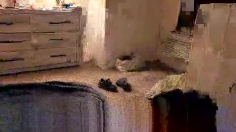 kittykat175154 online show from February 2026 10:04:01 AM