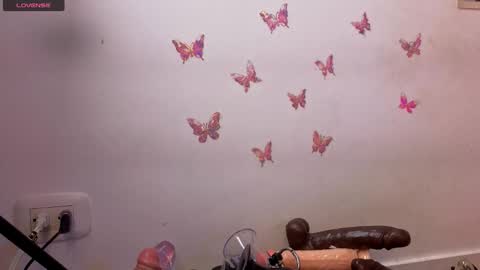 Kitty online show from January 2026 12:59:01 AM