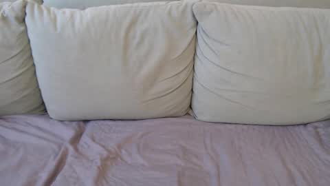 kittysweety_alex1 online show from March 2026 10:15:01 AM