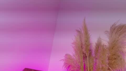 Kitty Hill online show from January 2026 04:18:02 AM