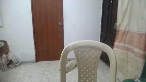 kity boobsx online show from January 2025 01:45:01 AM