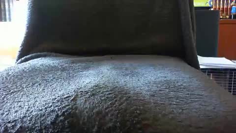 kledenn online show from October 2025 10:23:02 AM