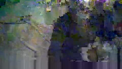 koelie1982 online show from June 2026 11:16:01 PM