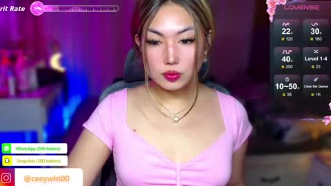 Snapshot of koreandollts chatting on June 2026 04:54:02 AM MISS ALICIA online show from June 2026 04:54:02 AM