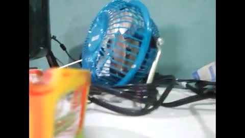 Snapshot of koto420 chatting on December 2024 03:01:02 AM Koto Bombon online show from December 2024 03:01:02 AM