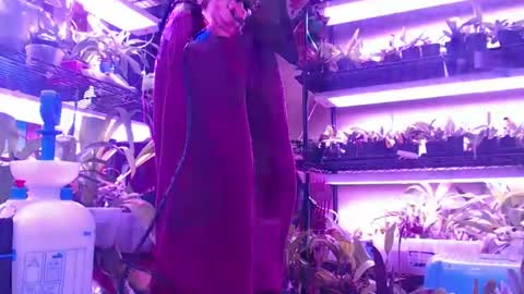 krookedorchid online show from October 2025 10:06:01 AM