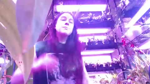 krookedorchid online show from November 2025 02:52:02 PM