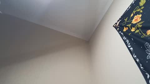 Adonis online show from February 2025 04:32:02 AM