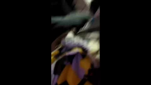 labran817 online show from April 2026 11:47:02 AM