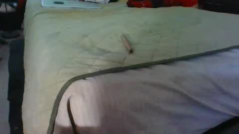 lachickadelbronx online show from January 2025 11:12:01 PM