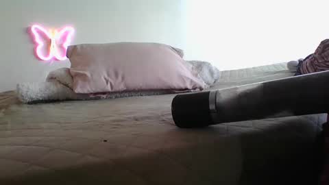 lachickadelbronx online show from January 2025 05:40:02 PM