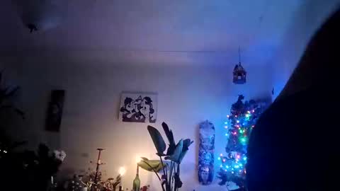 lacybell online show from December 2025 10:00:02 AM