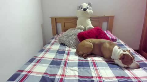 Akyra  online show from October 2025 11:55:02 AM