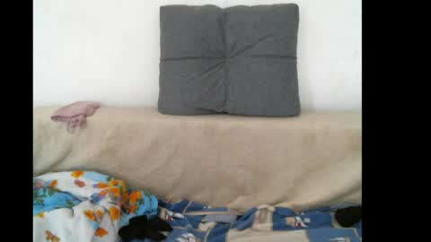 Snapshot of lady_cute_cat chatting on May 2026 10:36:01 AM lady cute cat29 online show from May 2026 10:36:01 AM
