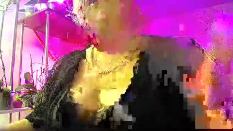 Snapshot of lady_gloria chatting on January 2025 03:40:01 AM Lady Gloria online show from January 2025 03:40:01 AM