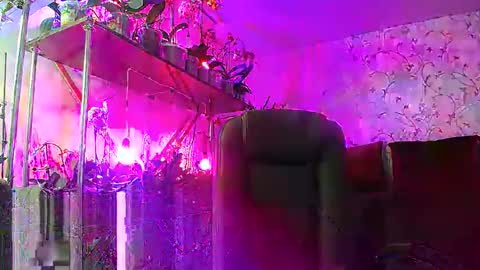 Snapshot of lady_gloria chatting on February 2025 12:54:01 PM Lady Gloria online show from February 2025 12:54:01 PM