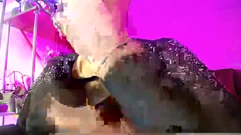 Snapshot of lady_gloria chatting on February 2025 04:53:02 AM Lady Gloria online show from February 2025 04:53:02 AM