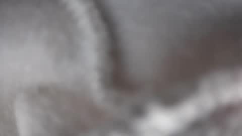 Snapshot of ladybughug chatting on December 2024 04:34:01 AM hugbug online show from December 2024 04:34:01 AM