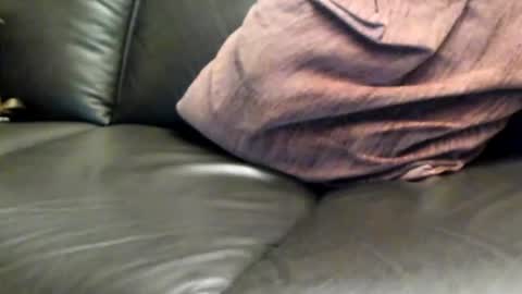 tomtom online show from March 2025 07:53:01 PM