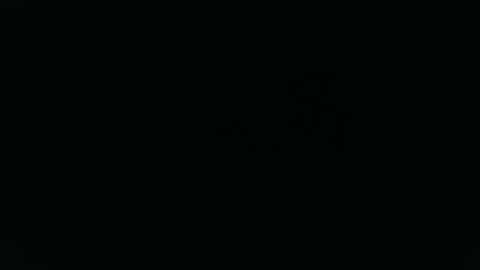 ANNIE online show from January 2026 12:54:01 PM