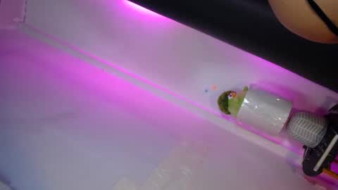 Snapshot of lala_lunaa chatting on February 2026 06:37:02 PM luna online show from February 2026 06:37:02 PM