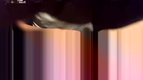 Snapshot of lalo112233vaz chatting on November 2025 09:04:01 AM lalo112233vaz online show from November 2025 09:04:01 AM