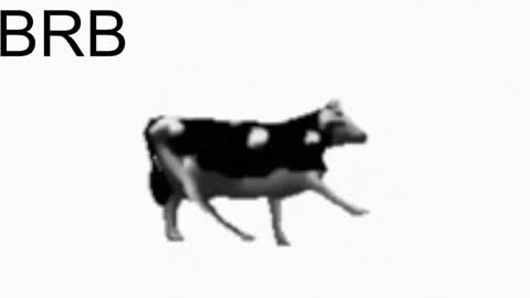 just call me Lana  and her security online show from January 2025 02:24:02 PM