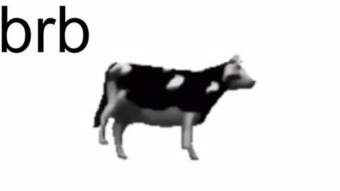 just call me Lana  and her security online show from February 2025 02:15:02 PM