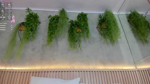 lana_lann online show from February 2025 05:59:01 PM