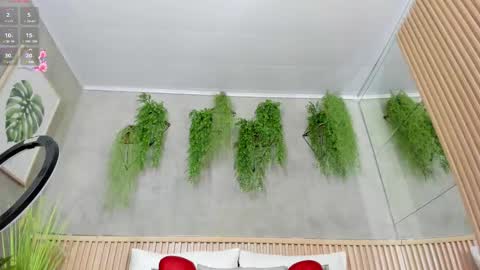 lana_lann online show from February 2025 11:47:02 AM