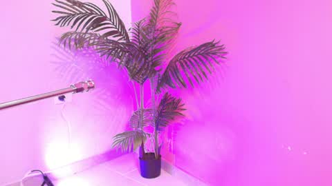 LANA online show from April 2026 04:10:02 AM