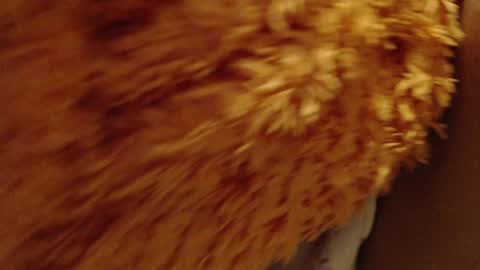 Snapshot of laralhotr chatting on December 2024 10:09:01 PM laralhotr online show from December 2024 10:09:01 PM