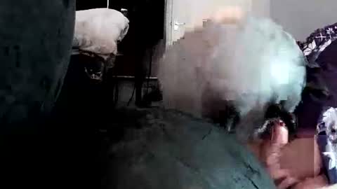 latexchris77 online show from April 2026 05:24:02 AM