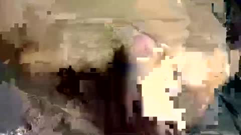 Snapshot of latil chatting on December 2024 06:33:01 PM joseph online show from December 2024 06:33:01 PM